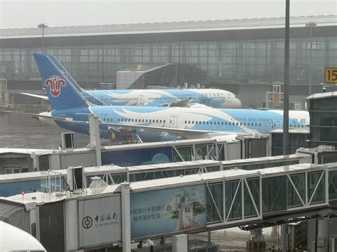 are china southern flights cancelled